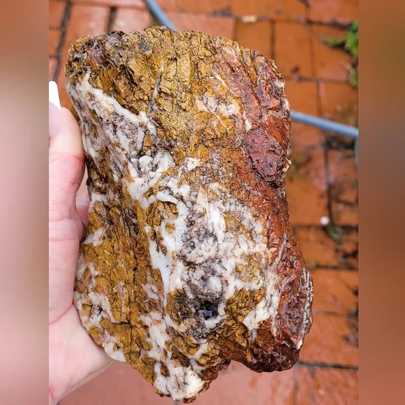 Natural Orange Red Purple Jasper Lapidary Rough Rock